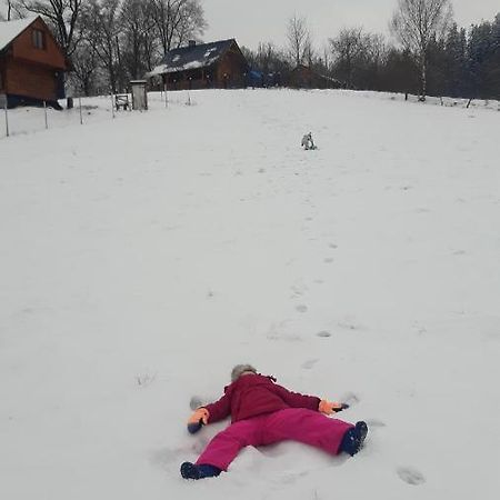 Przytulne Na Poddaszu Jelenia Gora Luaran gambar