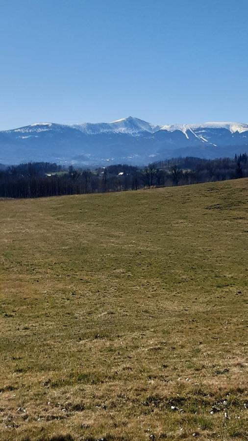 Przytulne Na Poddaszu Jelenia Gora Luaran gambar
