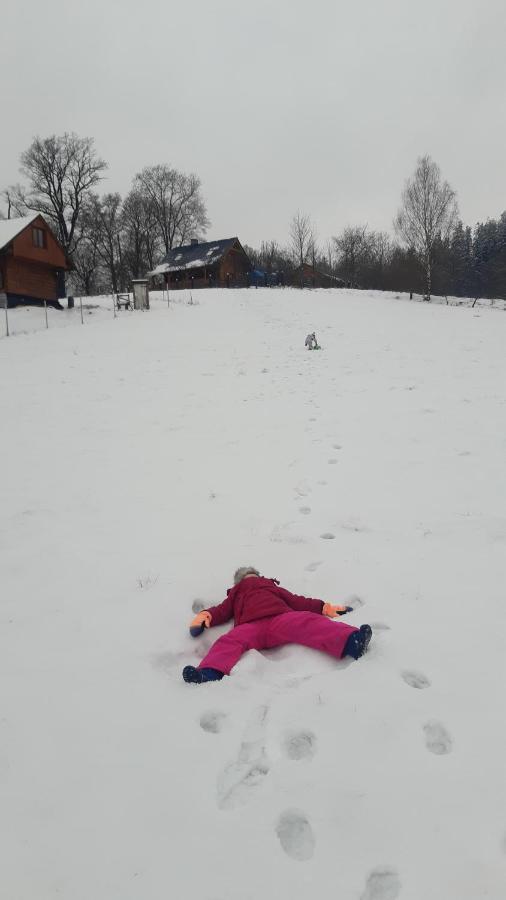 Przytulne Na Poddaszu Jelenia Gora Luaran gambar